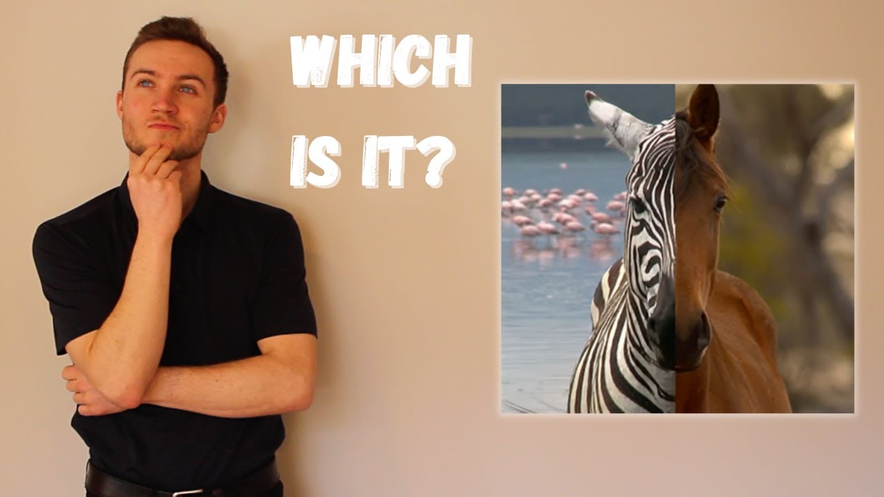 When you hear hoofbeats... | Healthcare Analogy