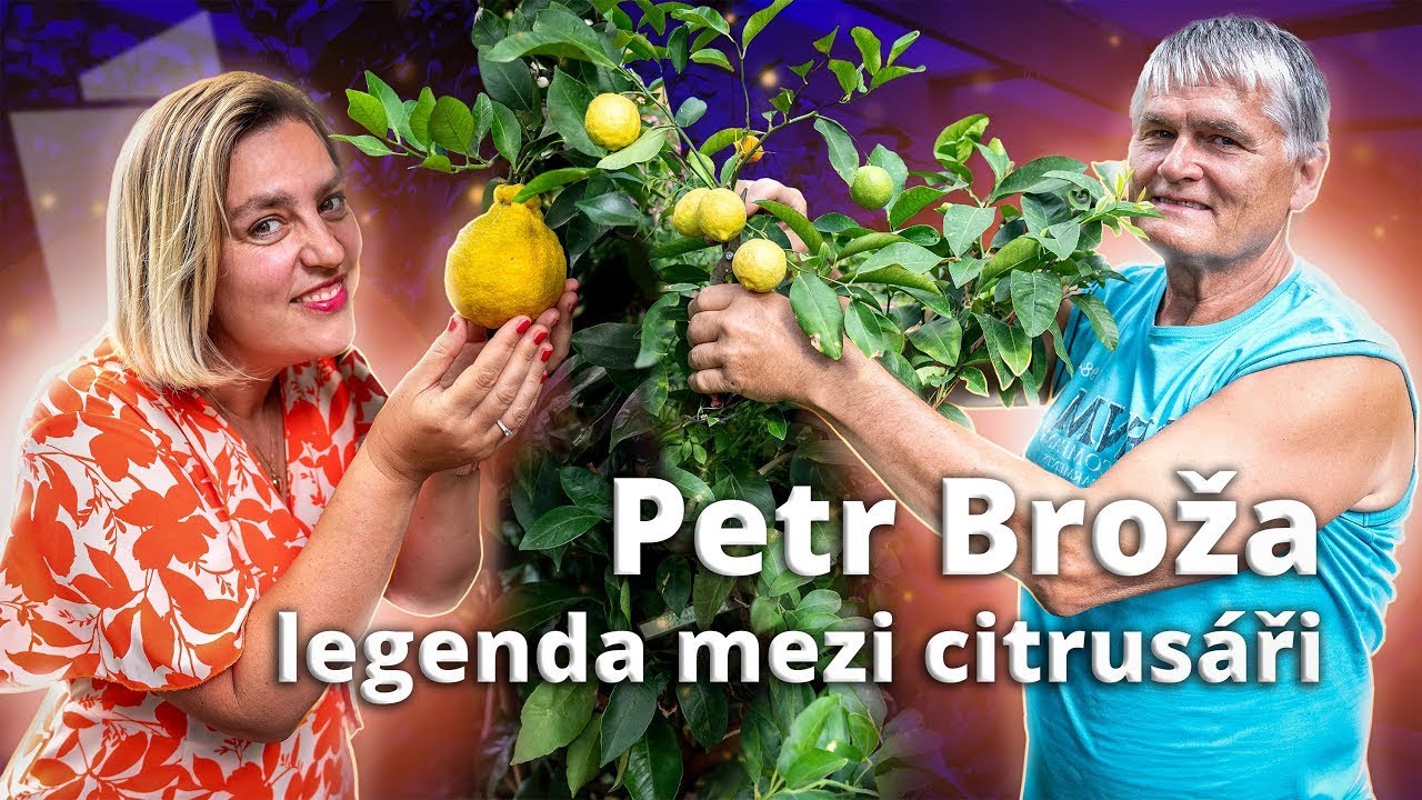 POŽÁR skleníku, otrávená voda i daleké cesty - Petr Broža o životě CITRUSÁŘE
