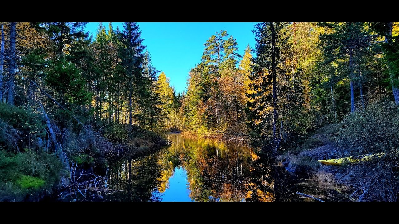 Svartåa i KAJAKK