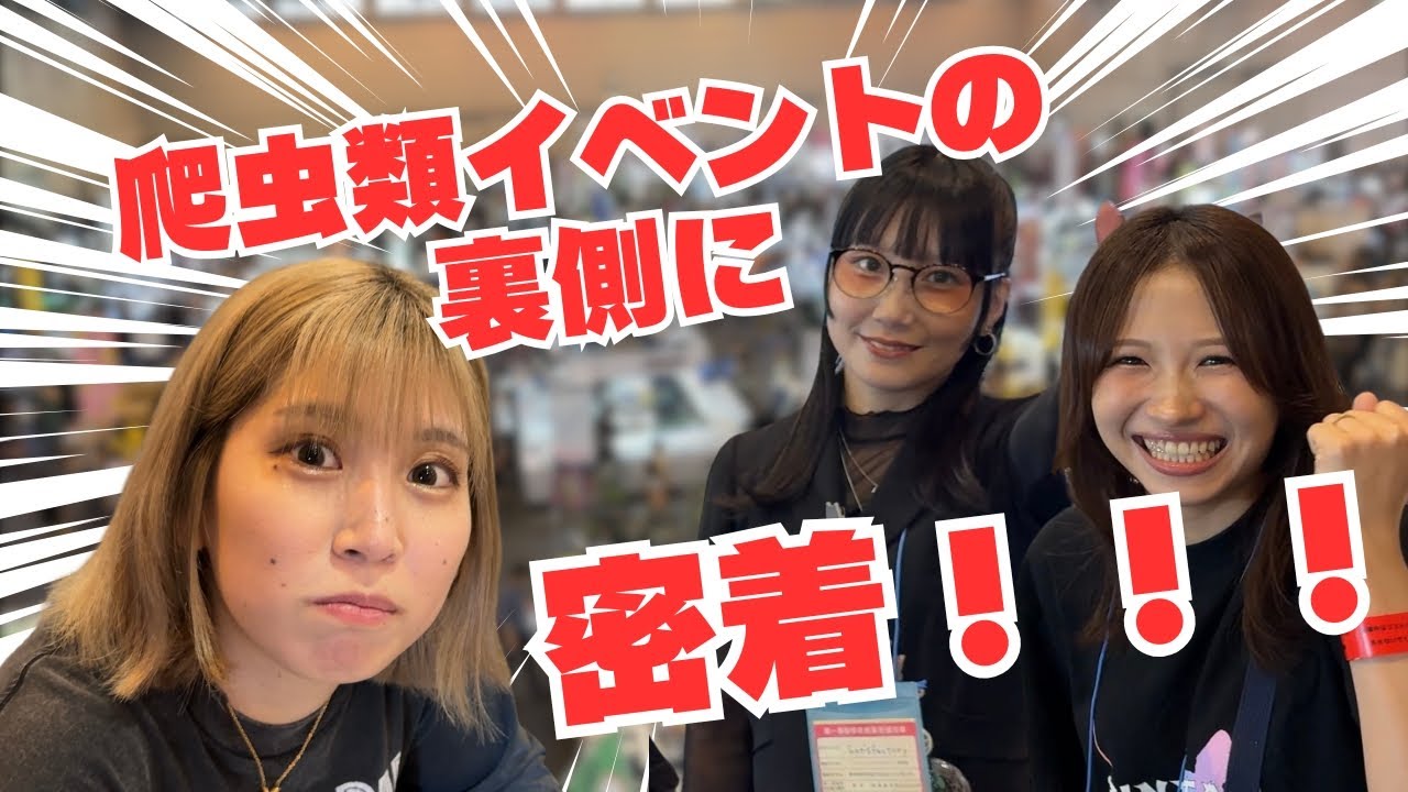 【密着！】爬虫類イベント出展の裏側！
