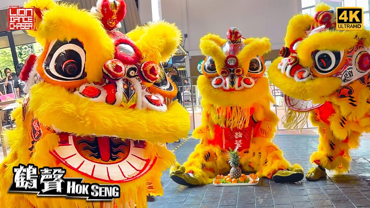 Lion Dance by Hok Seng 鹤声 @ Chagee Quayside Mall 黄金醒狮 双狮地青 热烈开张 鼓乐助庆 醒狮旺店 民间传统