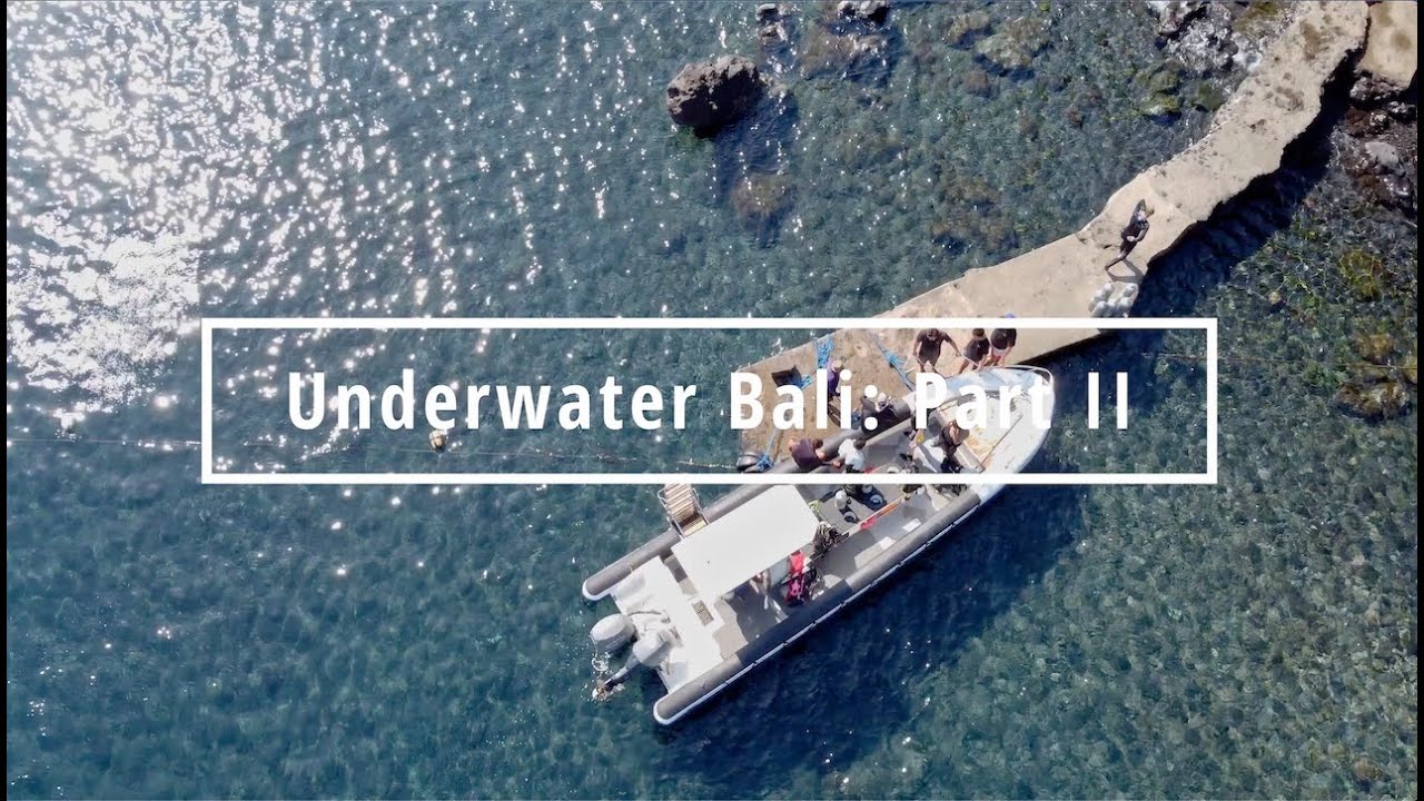 Underwater Bali: Part II
