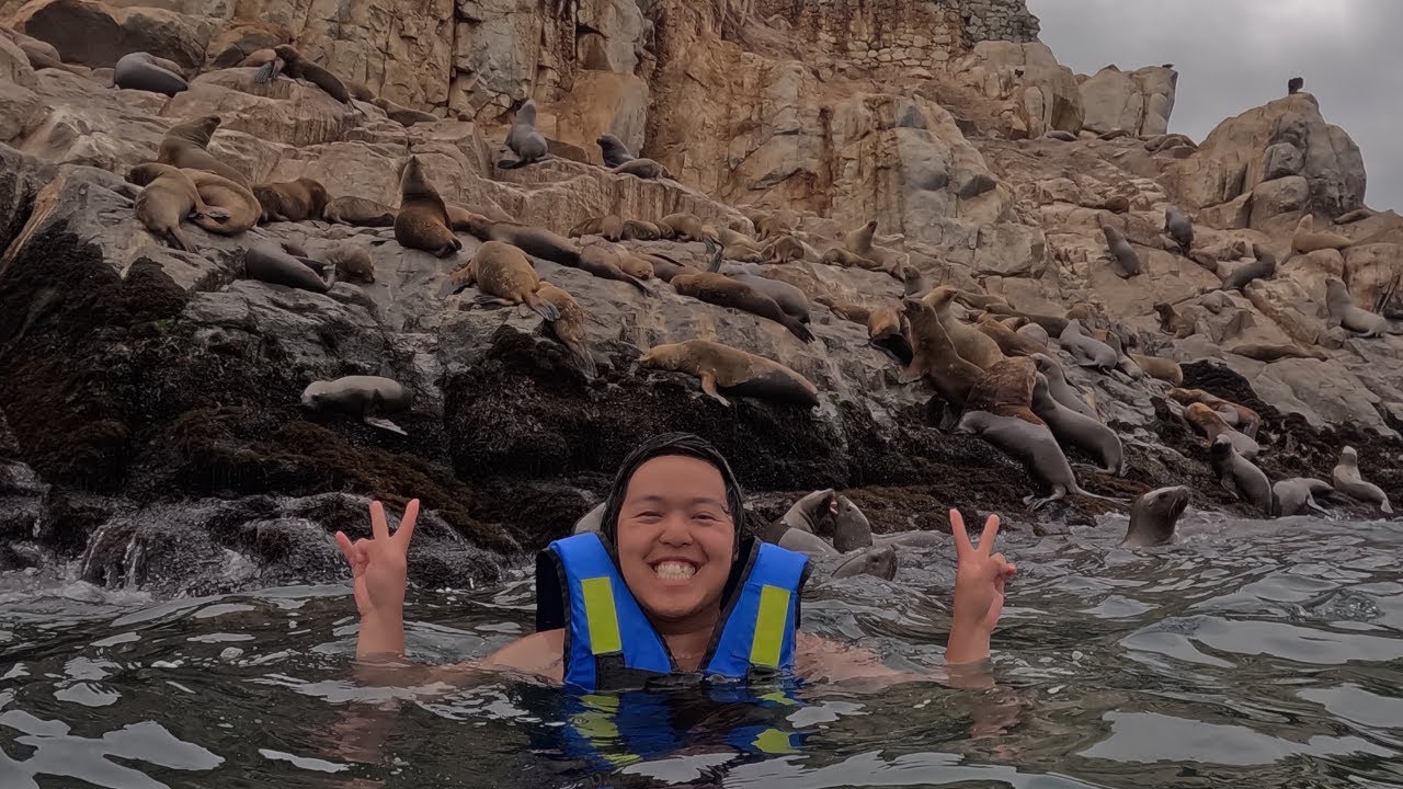 I Jumped Into the Ocean With WILD Sea Lions in Peru (Did NOT Expect This 🦭🇵🇪)