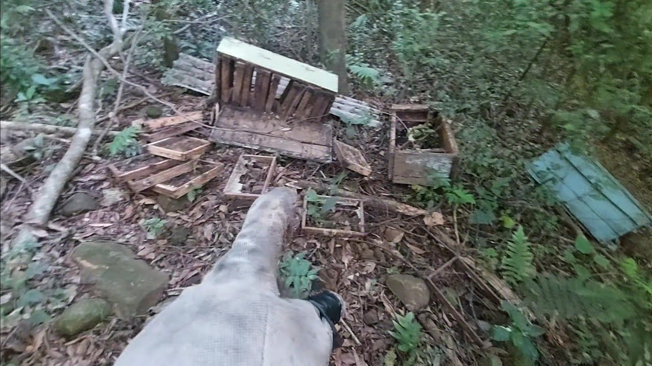 MINHA ESPOSA SOFREU UM ACIDENTE. MUITO MEL NESSE APIÁRIO 