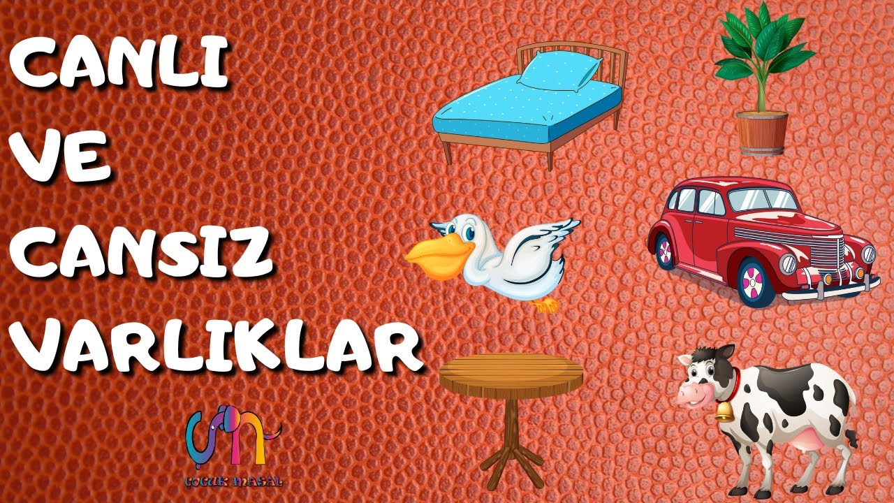 Canlı ve Cansız Varlıklar  Okul Öncesi / Canlı ve Cansız Kavramı