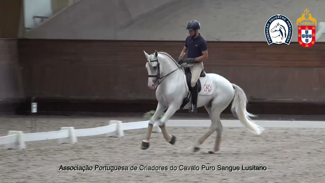 241029 8 Projeto de Ensino APSL&FEP - Luis Fernandes com Ópio