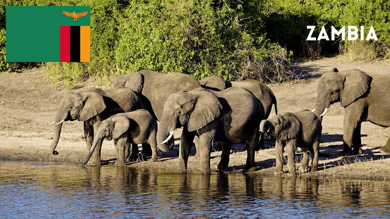Le 10 migliori cose da fare e vedere in Zambia 🇿🇲