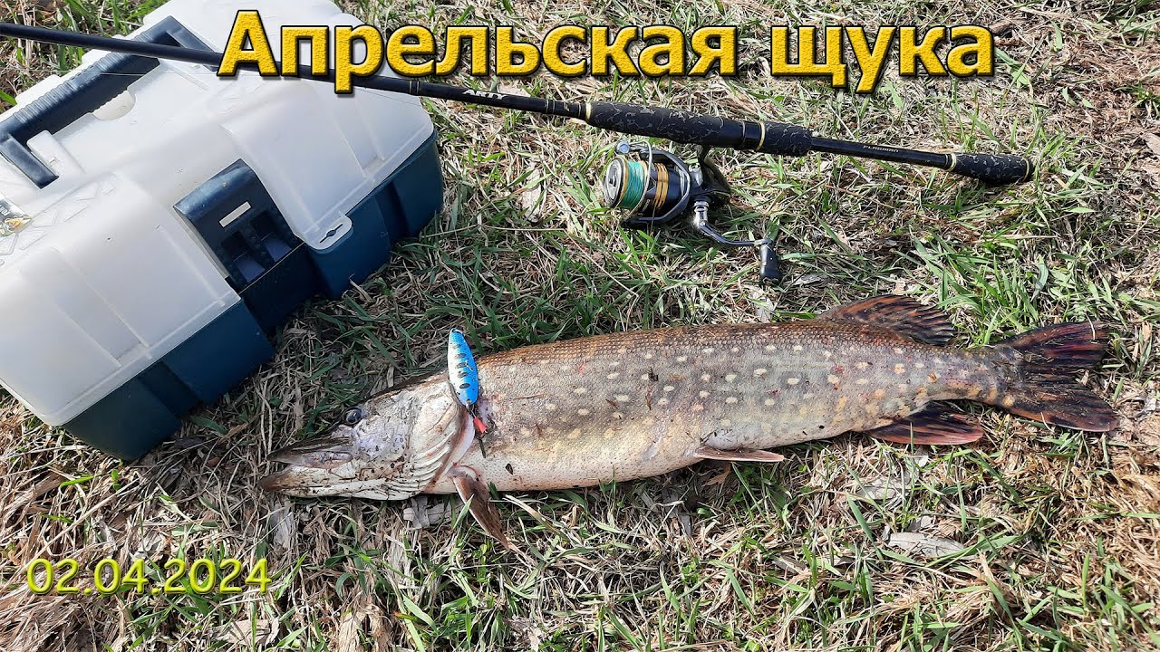 Рыбалка на спиннинг в Апреле. Открыл сезон 2024
