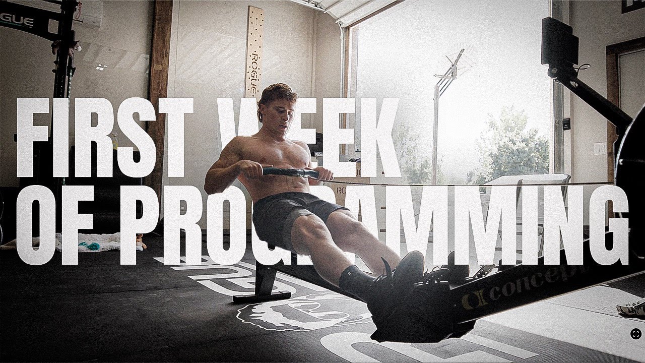 First Week of Programming // Ellie's Back Update