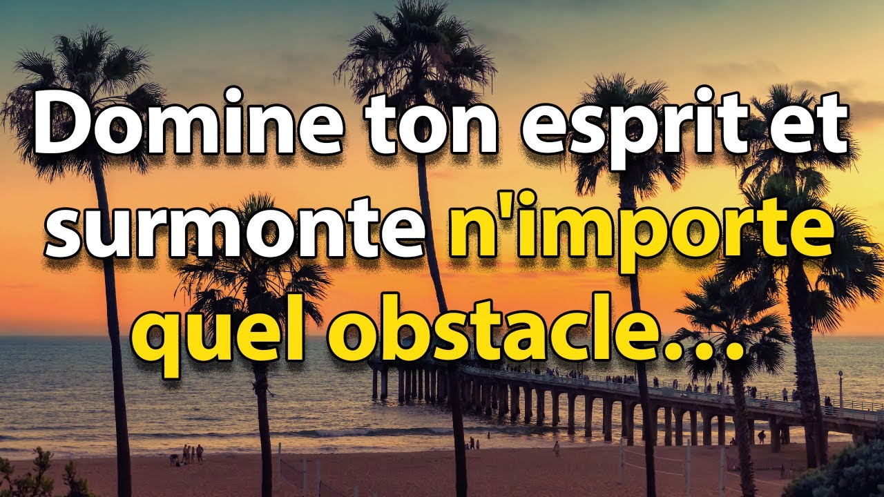 DOMINE ton ESPRIT et SURMONTE n'importe quel OBSTACLE | 10 LEÇONS DE STOÏCISME