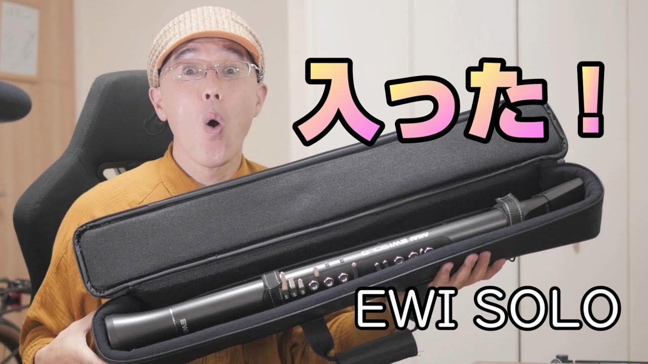 EWI SOLOが入るケースを手に入れました【非純正】