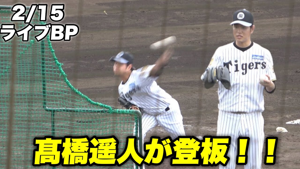 【今年は開幕から円陣全開！？】ライブBPで相変わらず球威抜群の球を投げる髙橋遥人！！