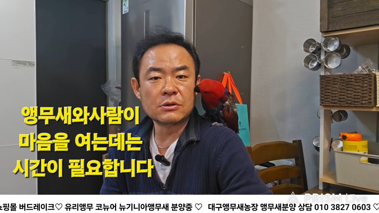 앵무새키우기  현실토크   아침이유식시간  대구앵무새농장 [ Birdlake ]  실시간라이브 앵무새분양 앵무새행동상담 parrotbreeding 20260302