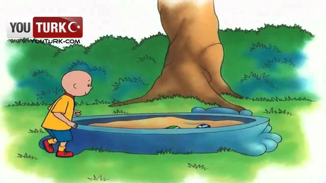 Caillou Türkce - Caillou nun Sözü