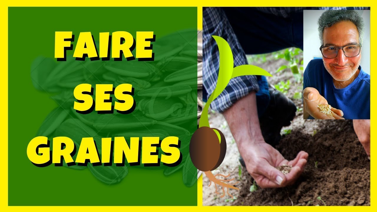 Comment faire ses graines de tomates et autres ?