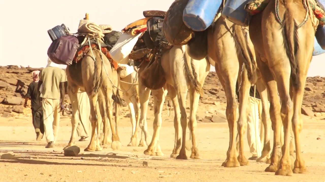 Les Toubous du Sahara - Tchad