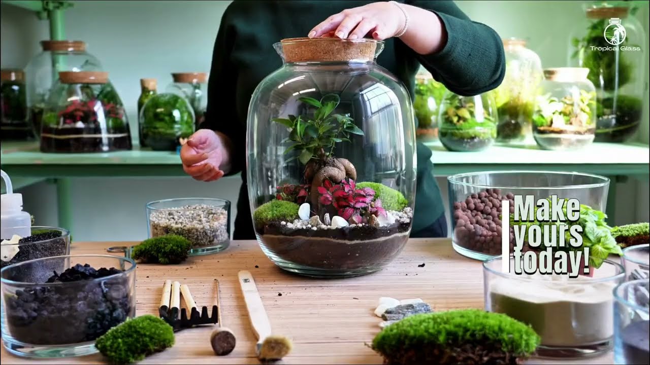 DIY Terrarium Kits Now with Video Tutorials
