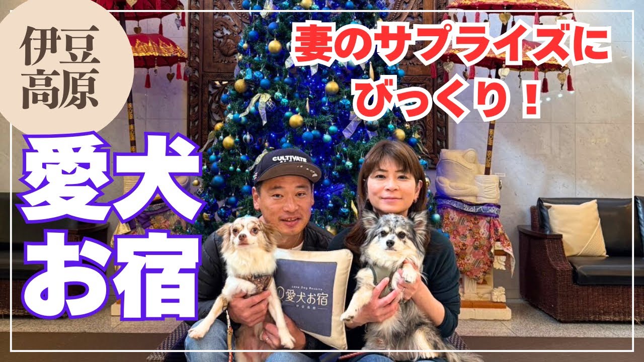【旅行】伊豆高原『愛犬お宿』で妻からのサプライズに涙・・・  vlog