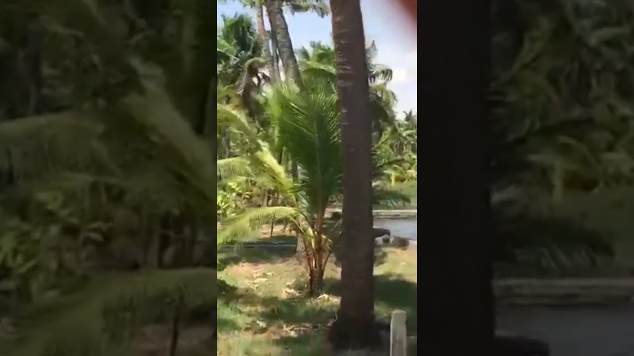 3.28 acre land for sale in Mathilakam, Thrissur district Please below details of our land for sale.