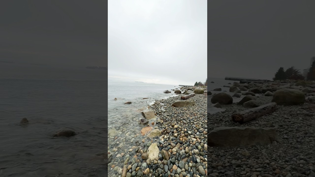Eagles, North Vancouver Beach #shorts #shortvideo #eagles #eaglebeach