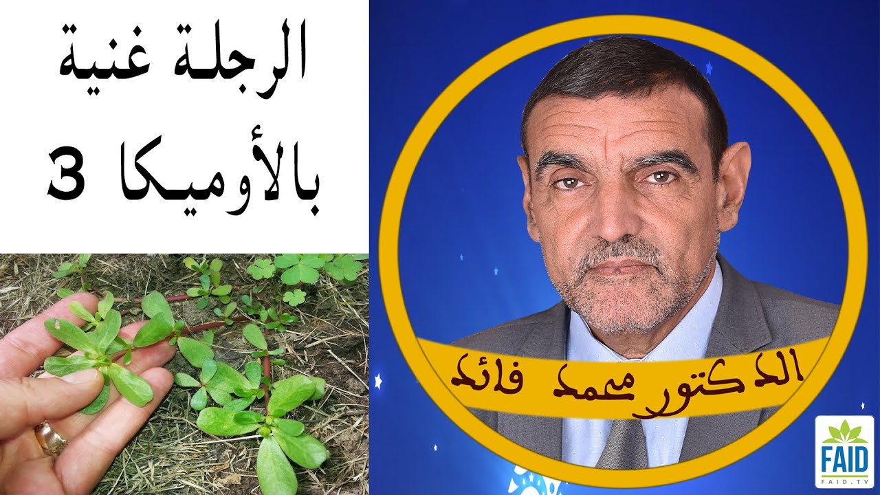 عشبة الرجلة الوحيدة الغنية بالأوميكا 3 | الدكتور الفايد