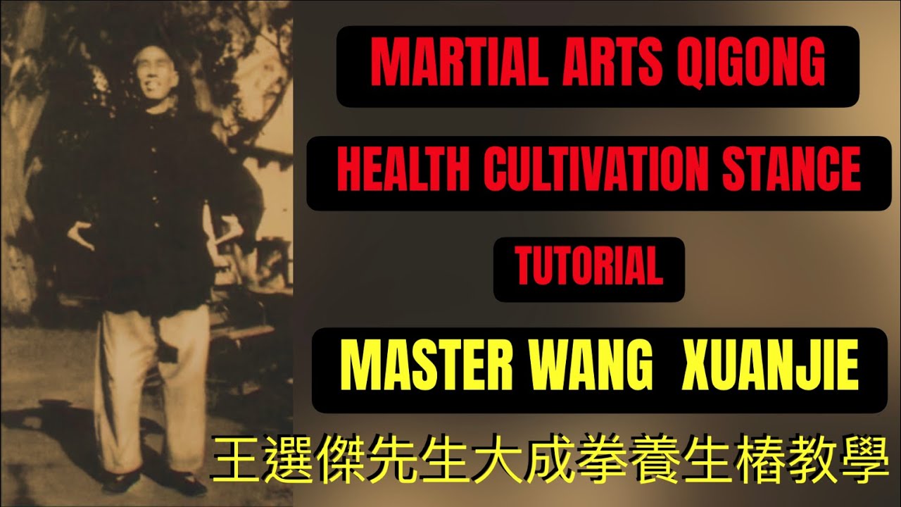 Yiquan Health Cultivation Stance Tutorial #yiquan #dachengquan #wangxuanjie