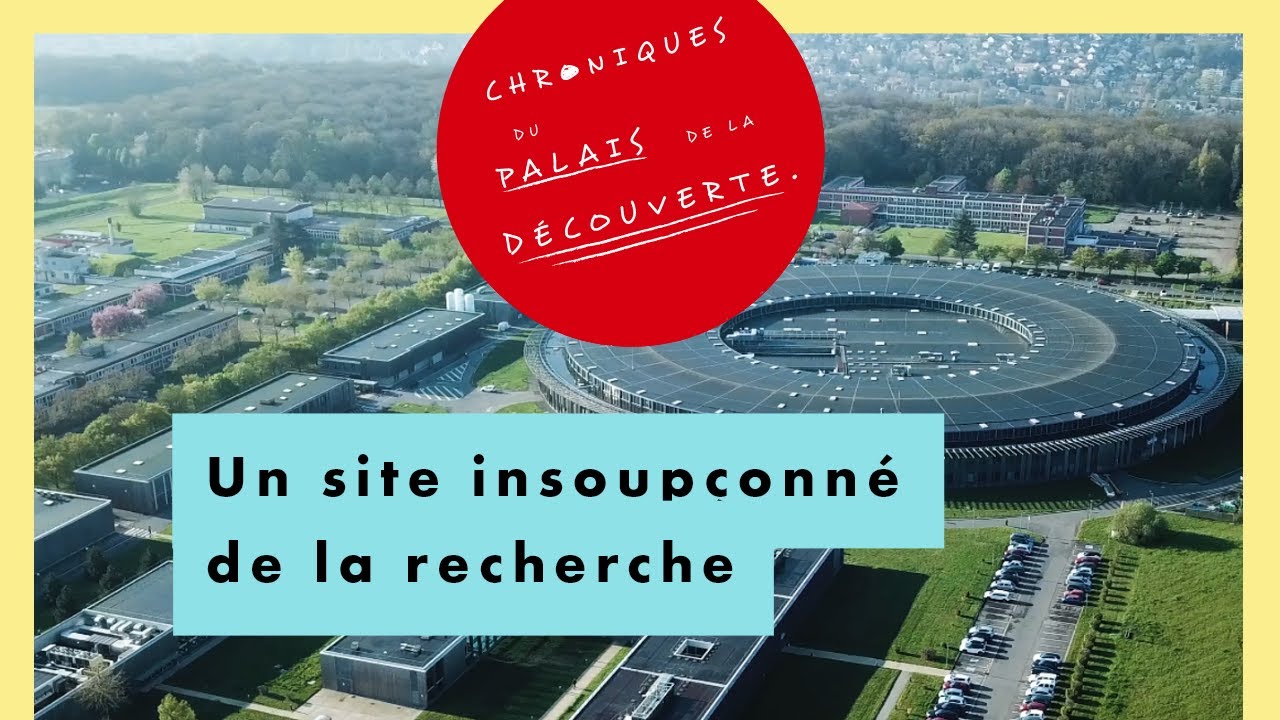 Un site insoupçonné de la recherche - Chroniques du Palais de la découverte - Épisode 19