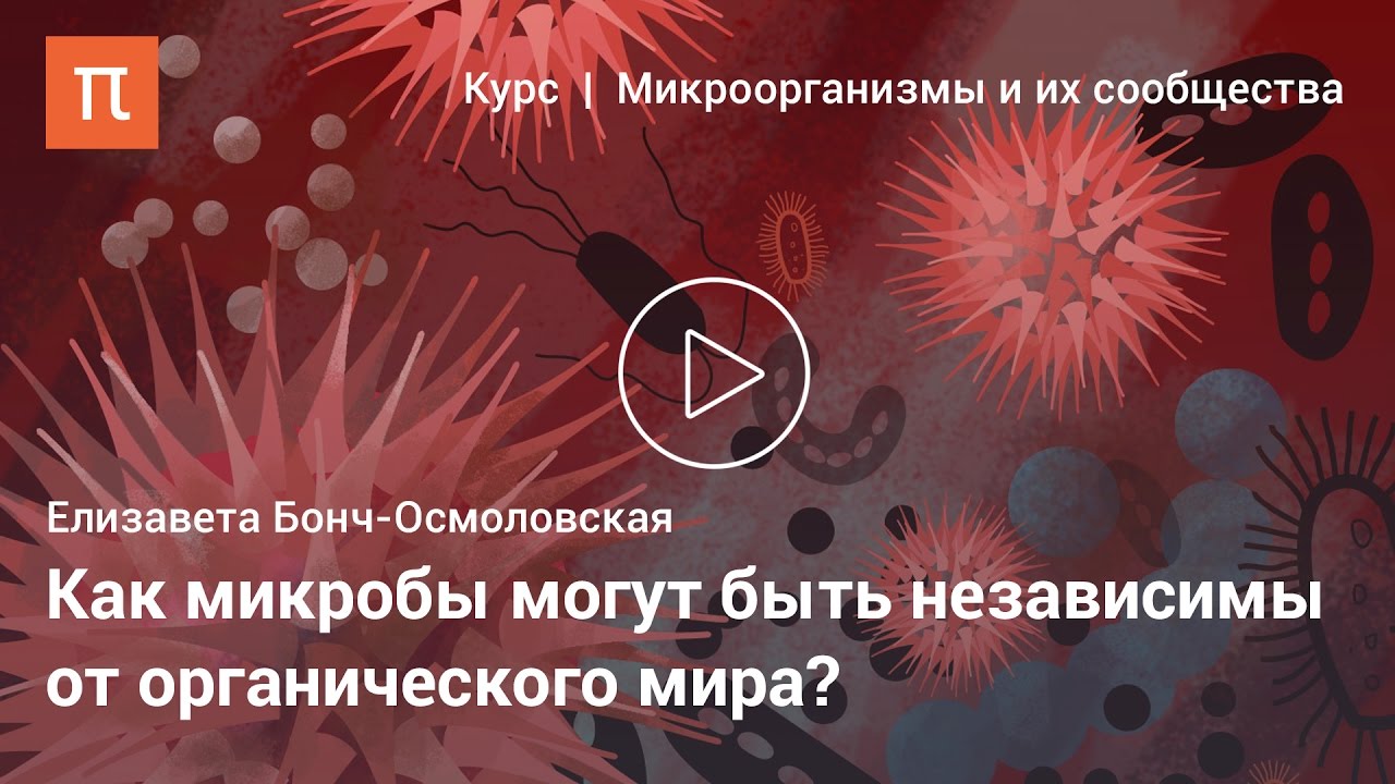 Елизавета Бонч-Осмоловская &mdash; Катаболизм