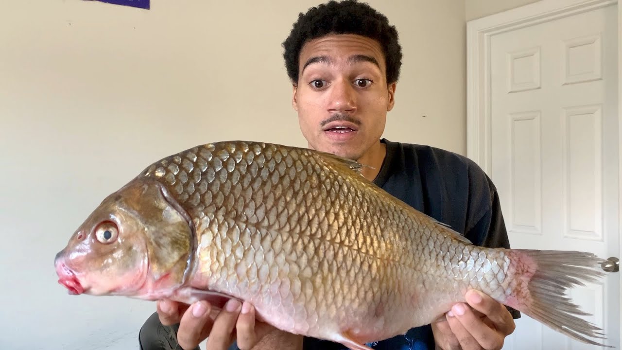 90% Of People Don't Know This TRASH FISH Is Actually Good