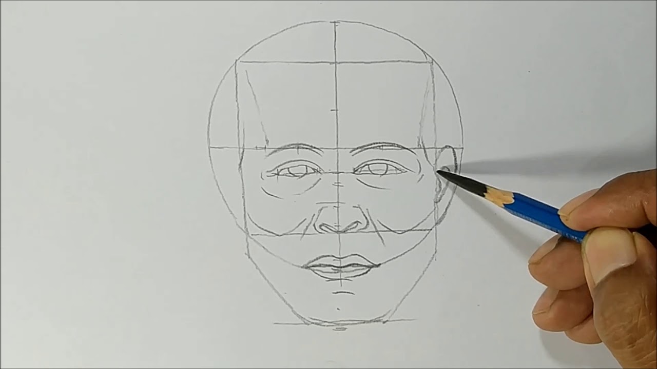 การวาดภาพโครงสร้างใบหน้าคนด้านหน้า 2