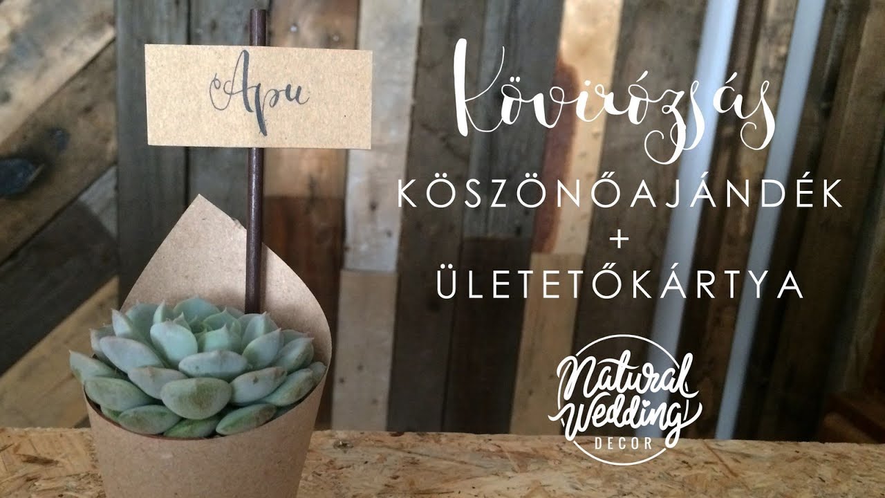 Kövirózsás köszönőajándék DIY || Natural Wedding Decor || Succulents wedding favor tutorial