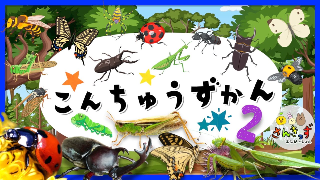 【昆虫 集合！】こんちゅうずかん2 で 虫さんたちを探そう☆【子供向け 虫の知育アニメ】バッタ カマキリ カブトムシなど人気の昆虫が16種類登場するよ