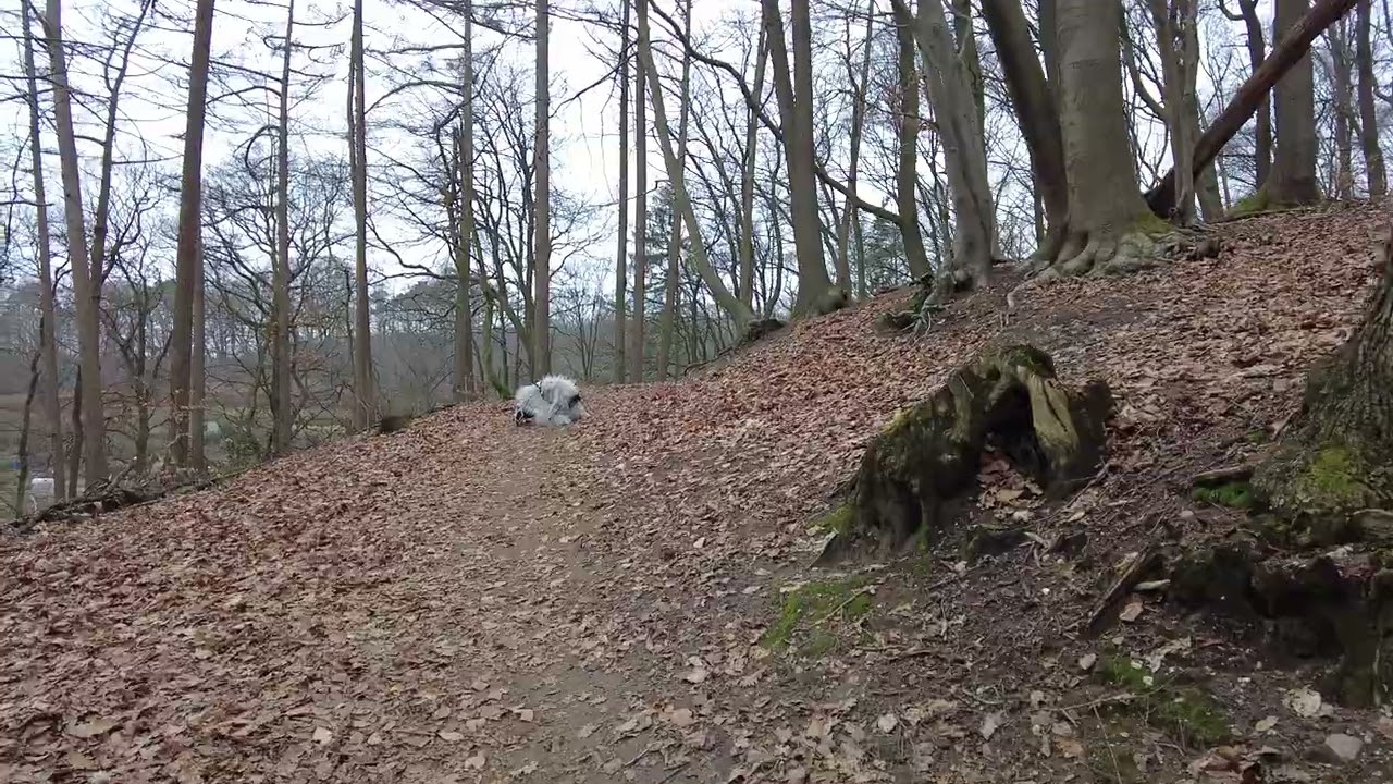 ATKA MUZIKALE OPDR CONNOR HUBERS