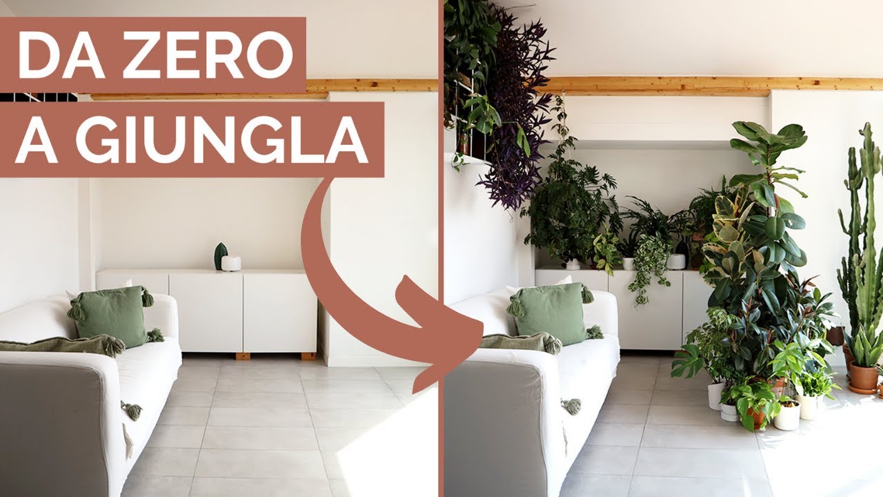 5 STRATEGIE semplici PER ARREDARE CON LE PIANTE