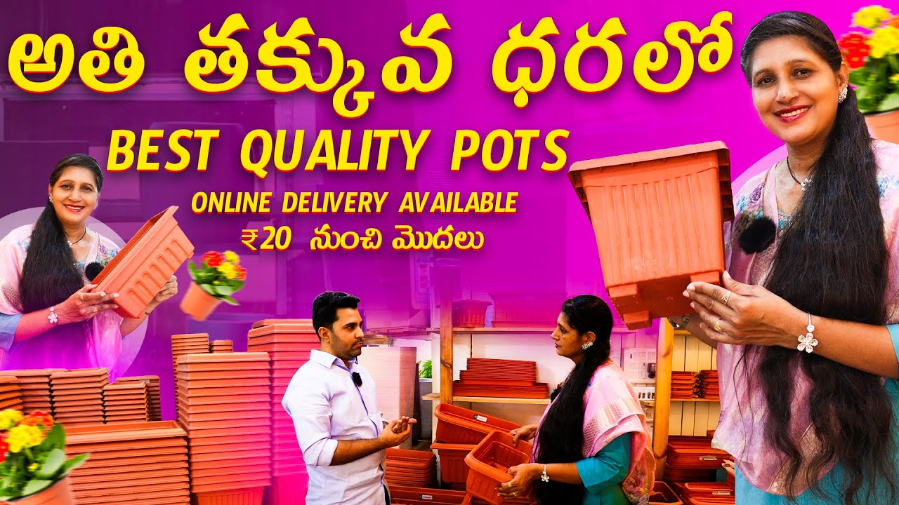 🔴 Best Quality Pots at Lowest Price 🏷️ Starting ₹20 | Online Delivery Available 🌿