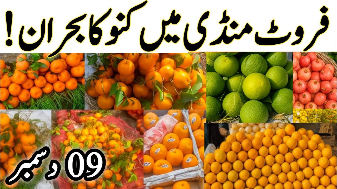 "Kinnow & Malta Price Today 😱 | Lahore Badami Bagh Wholesale Market Rates – 9 December 