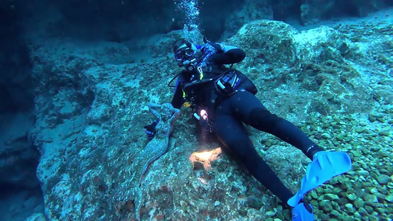 Diving Vortex Springs in Florida!