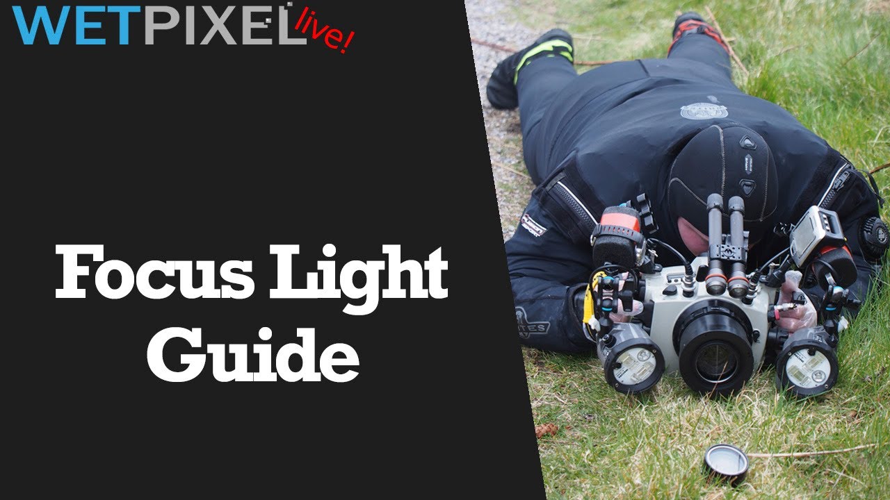 Essential Tips about Focus Lights for Underwater Photographers