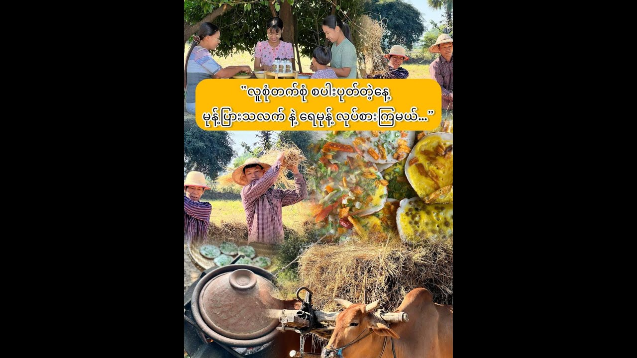 “လူစုံတက်စုံ စပါးပုတ်တဲ့နေ့…”