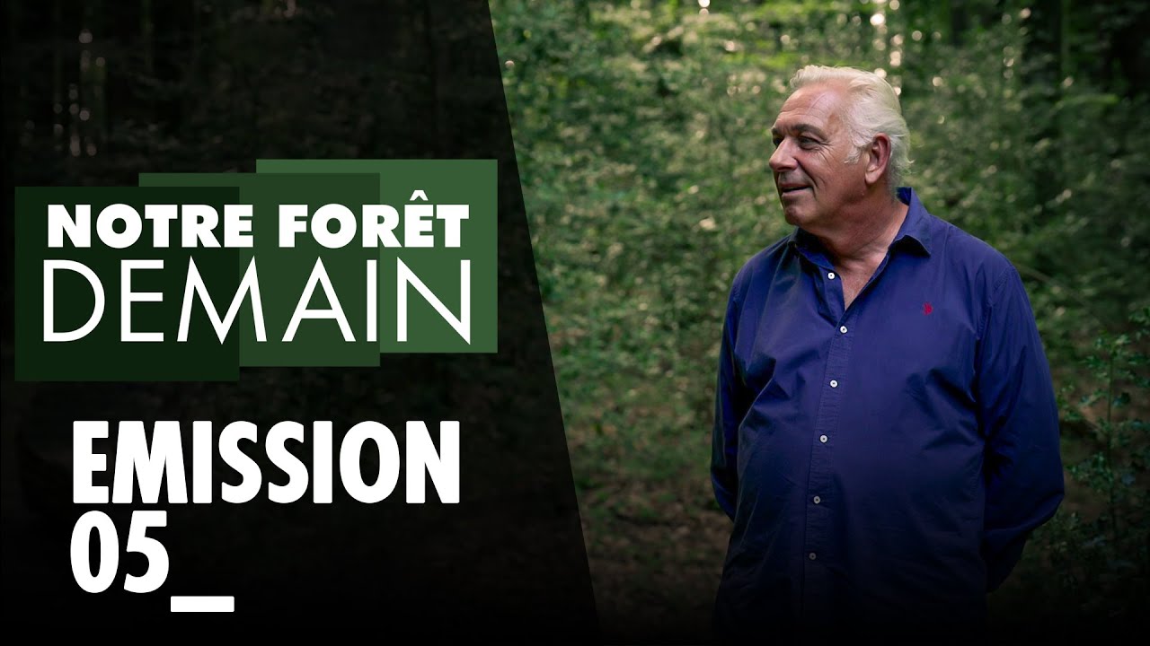 🌳INÉDIT Notre forêt demain, Épisode 5, 30.10.23