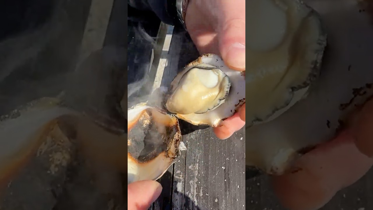 漁師めし！獲れたて生牡蠣と浜焼きでビールをクイ！