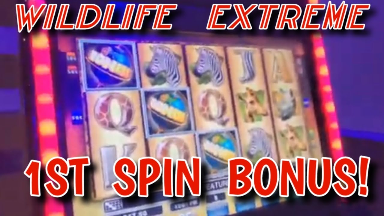 Моя мама выигрывает бонус на первом вращении в Wildlife Extreme Max Bet / ПРЯМАЯ ТРАНСЛЯЦИЯ