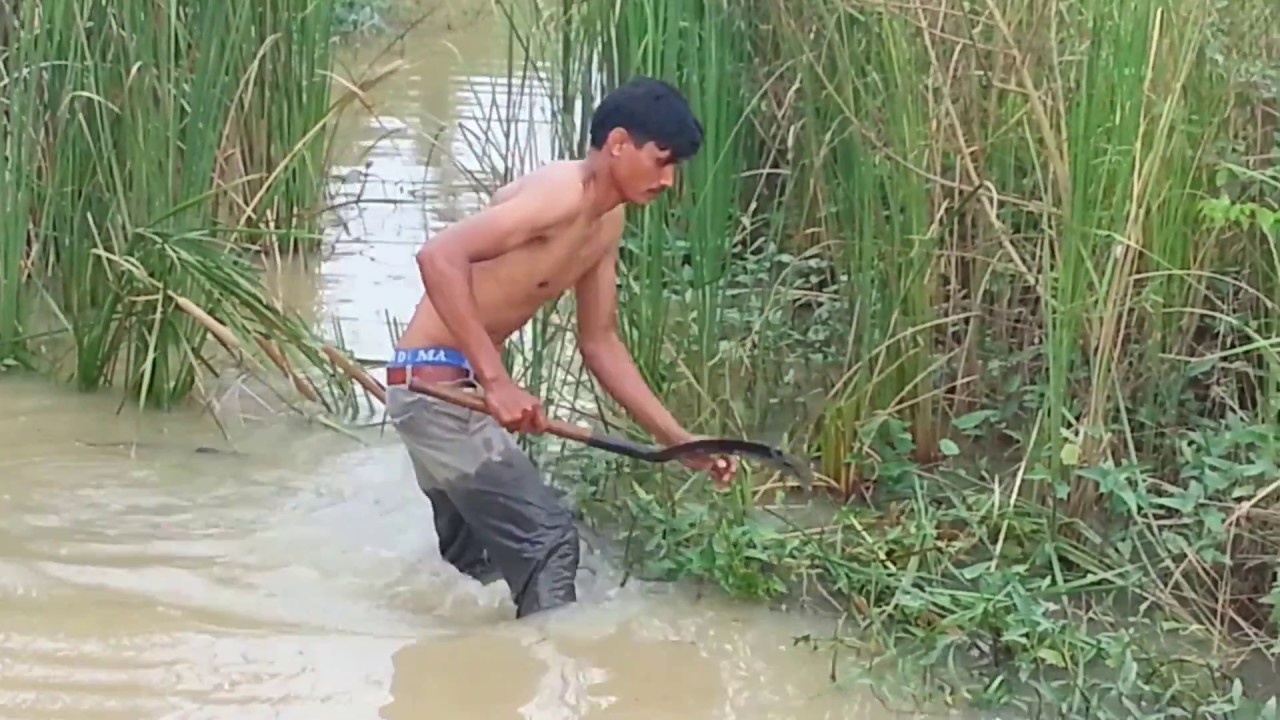 Net Fishing at Pailin Province - Cambodia Traditional Fishing - Khmer Cast Net Fishing (Part 073)