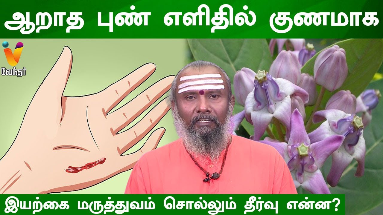 ஆறாத புண் எளிதில் குணமாக | Milkweeds | Pongame oiltree
