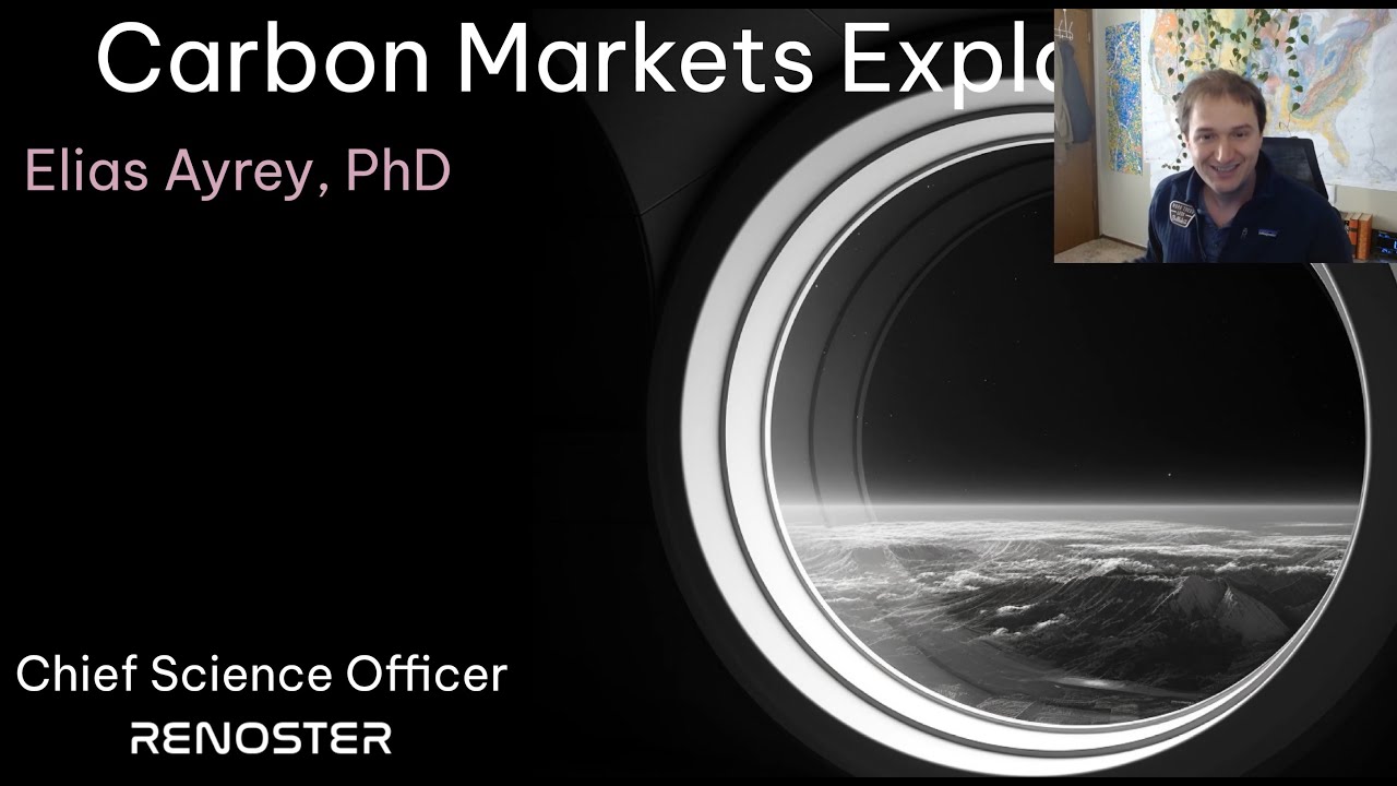 An Overview of the Carbon Markets