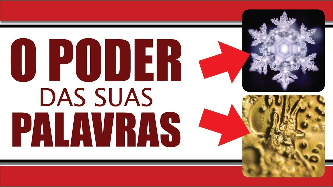 O PODER das PALAVRAS na ÁGUA e na sua VIDA | Francisco de Paula #01