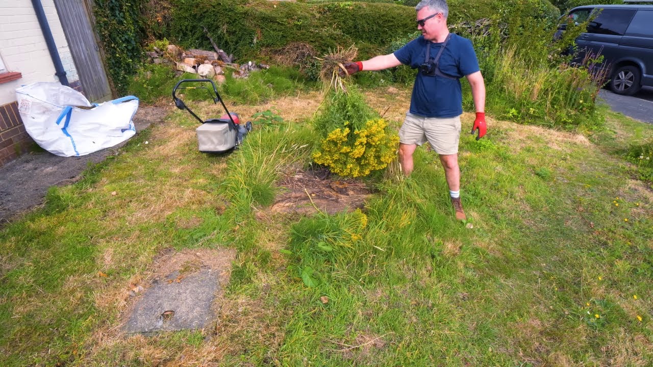 She Was Too Depressed to Face Her Garden… Until This Transformation 🌿