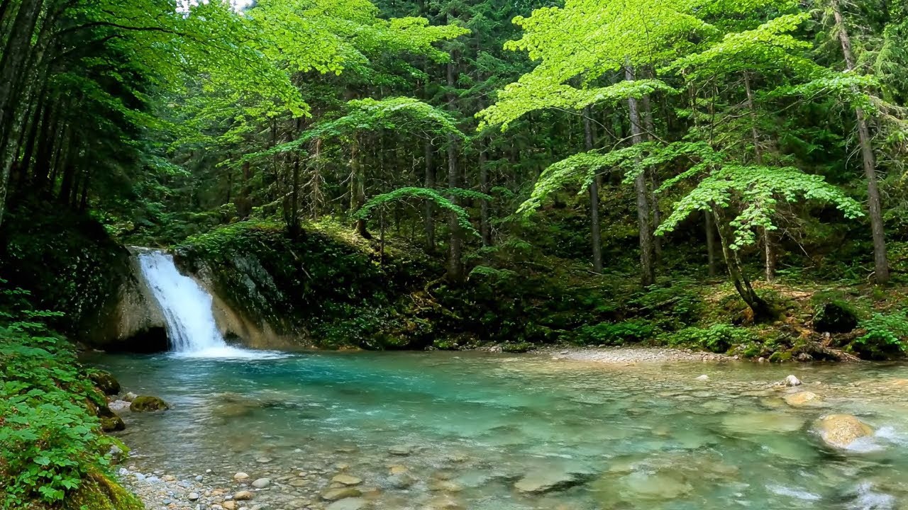 Healing Music for The Heart and Soul 🌿 Soothing Water Sounds, Relieve Stress, Anxiety & Deep Sleep