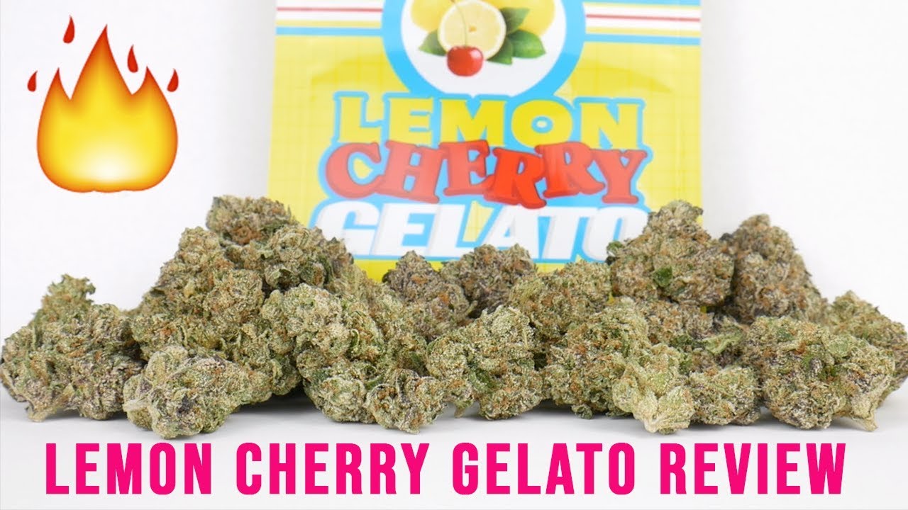 Lemon Cherry Gelato Strain Review