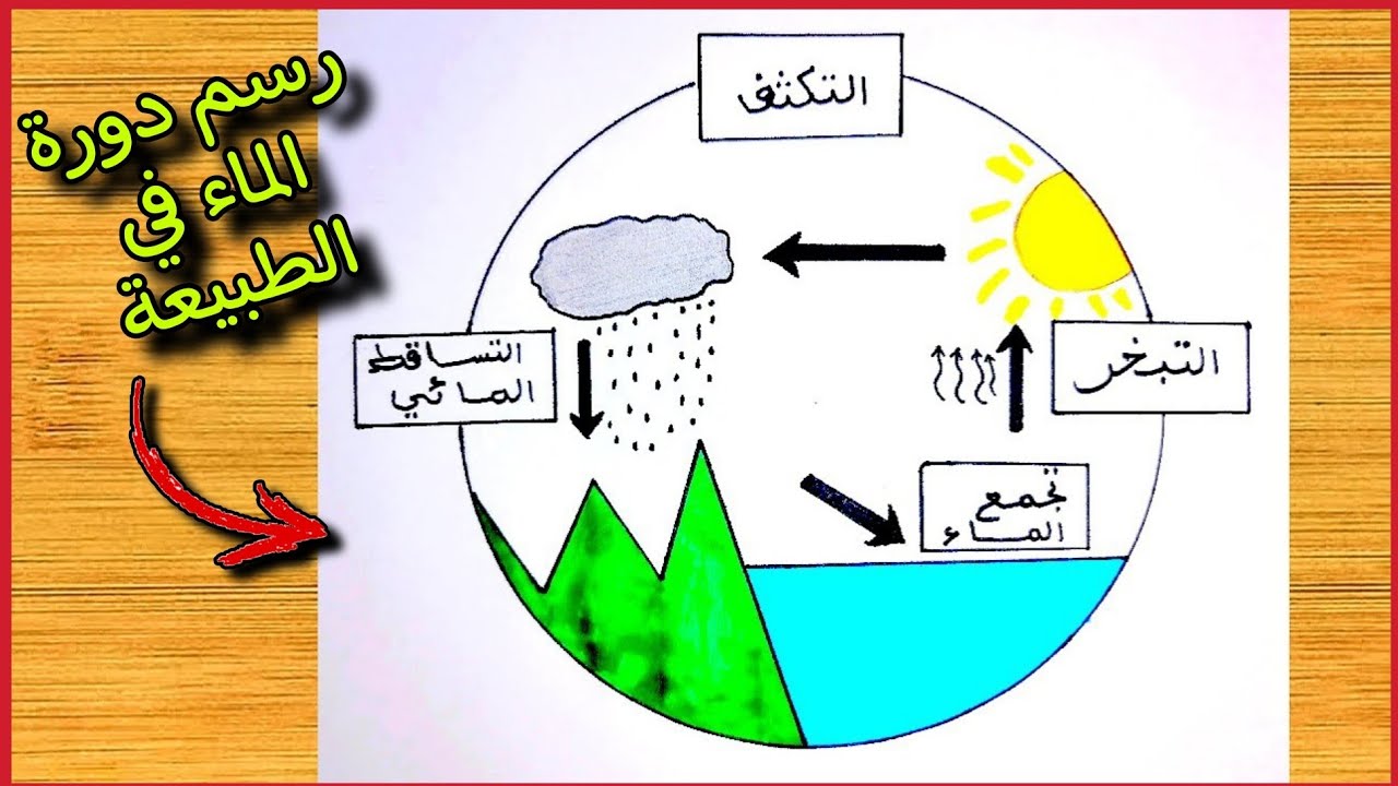 رسم دورة الماء في الطبيعة